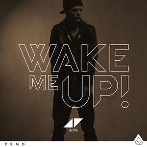 Wake Me Up Cover