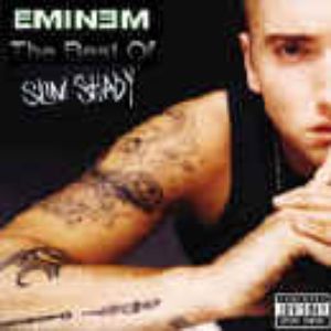 Best of Slim Shady Cover