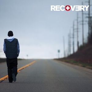 Recovery Cover
