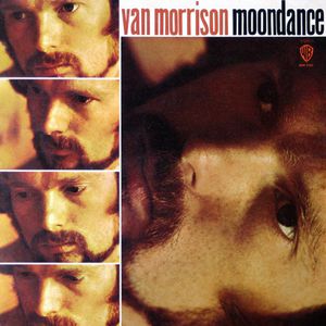 Moondance Cover