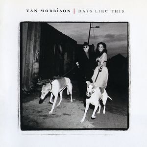 Days Like This Cover