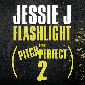 Flashlight Cover