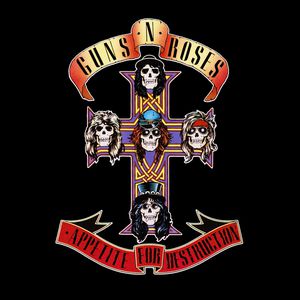 Appetite for Destruction Cover