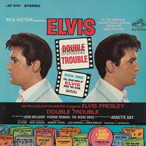 Double Trouble Cover
