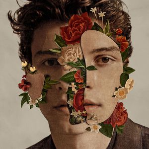 Shawn Mendes Cover