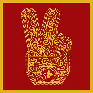Stone Temple Pilots Cover