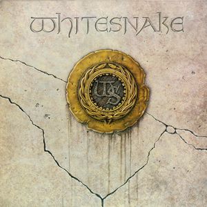 Whitesnake Cover