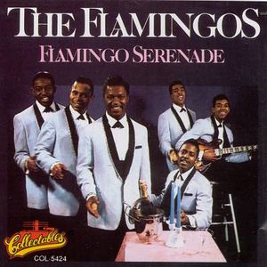 Flamingo Serenade Cover