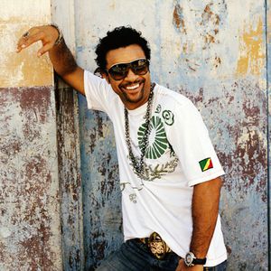 Shaggy Cover