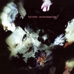 Disintegration Cover