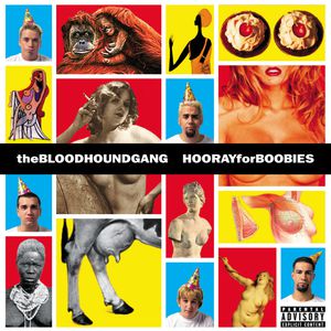 Hooray for Boobies Cover