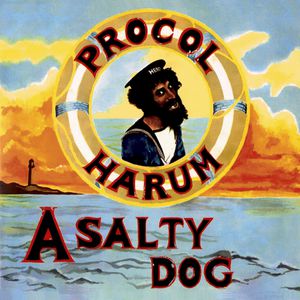 A Salty Dog Cover