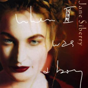 When I Was A Boy Cover