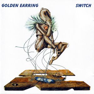 Switch Cover