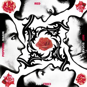 Blood Sugar Sex Magik Cover