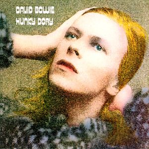 Hunky Dory Cover
