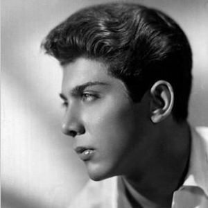 Paul Anka Cover