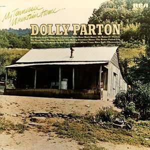 My Tennessee Mountain Home Cover