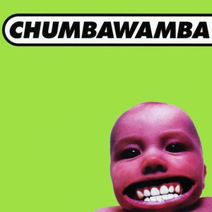 Tubthumper Cover