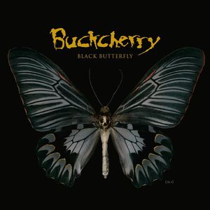 Black Butterfly Cover