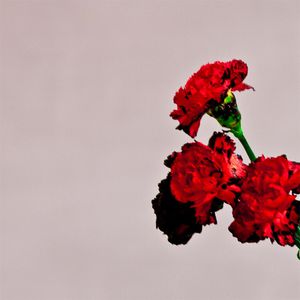 Love in the Future Cover