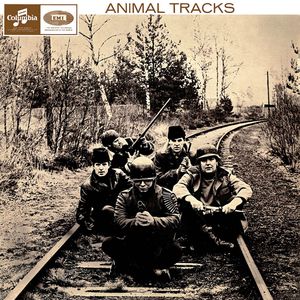 Animal Tracks Cover