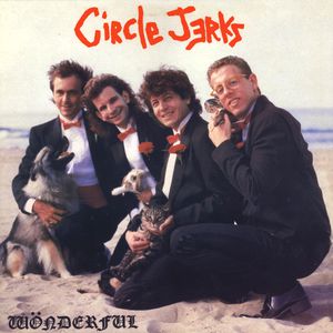 Wonderful Cover