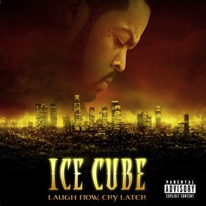 Laugh Now, Cry Later Cover