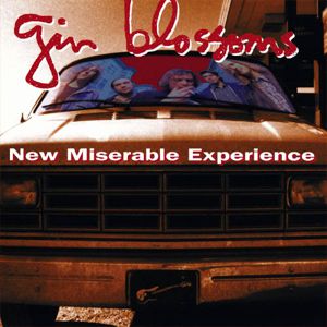 New Miserable Experience Cover