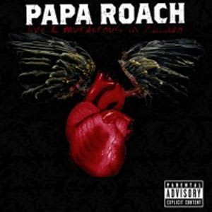 Download Not Listening Lyrics Papa Roach From Live And Murderous In Chicago Lyricsfever Net