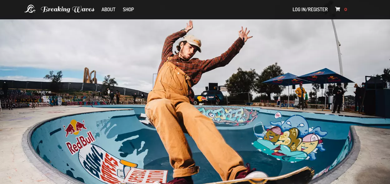 Preview of Breaking Waves website