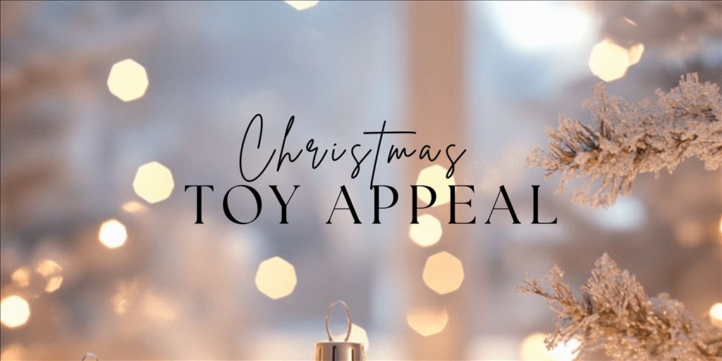 Toy Appeal