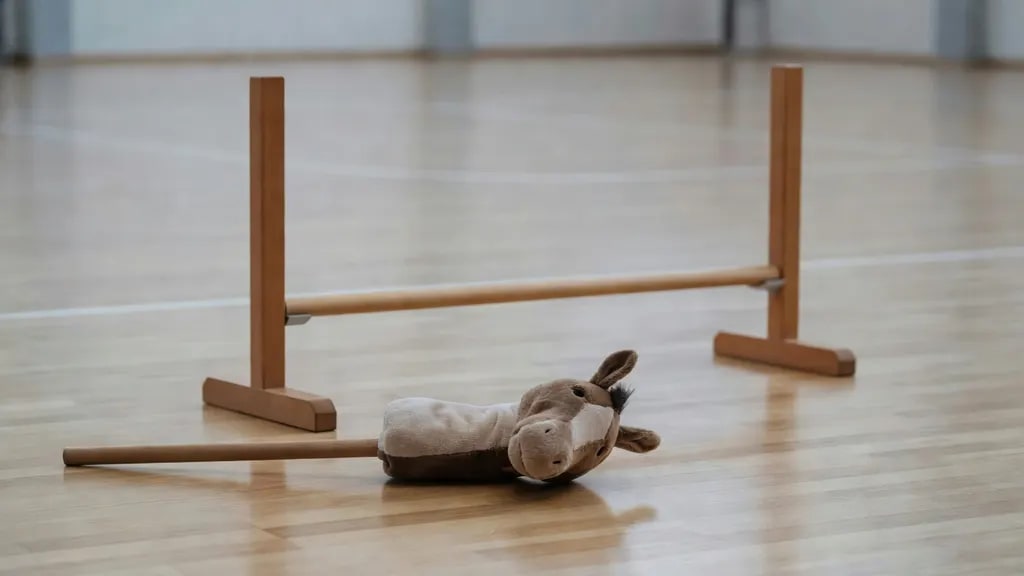 Hobby Horse Czy To Sport