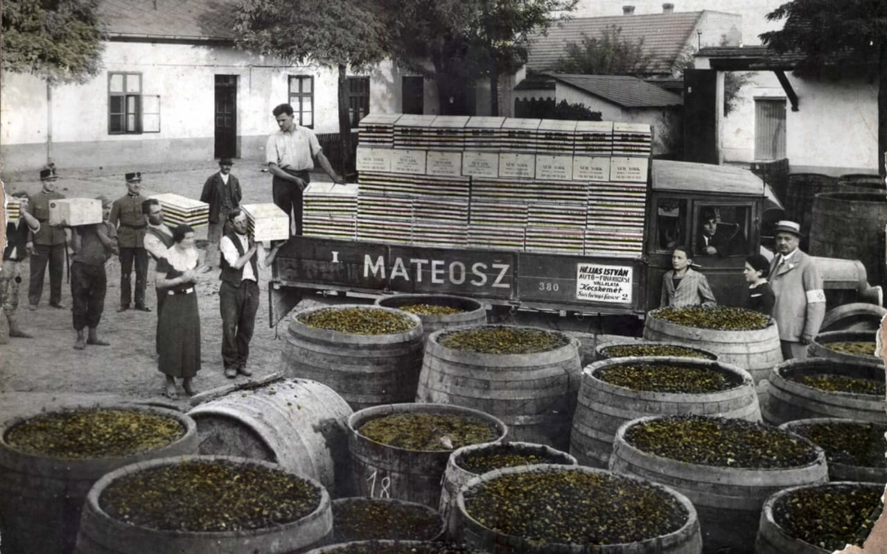 Kecskemét, Hungary. Early 20th century scene.