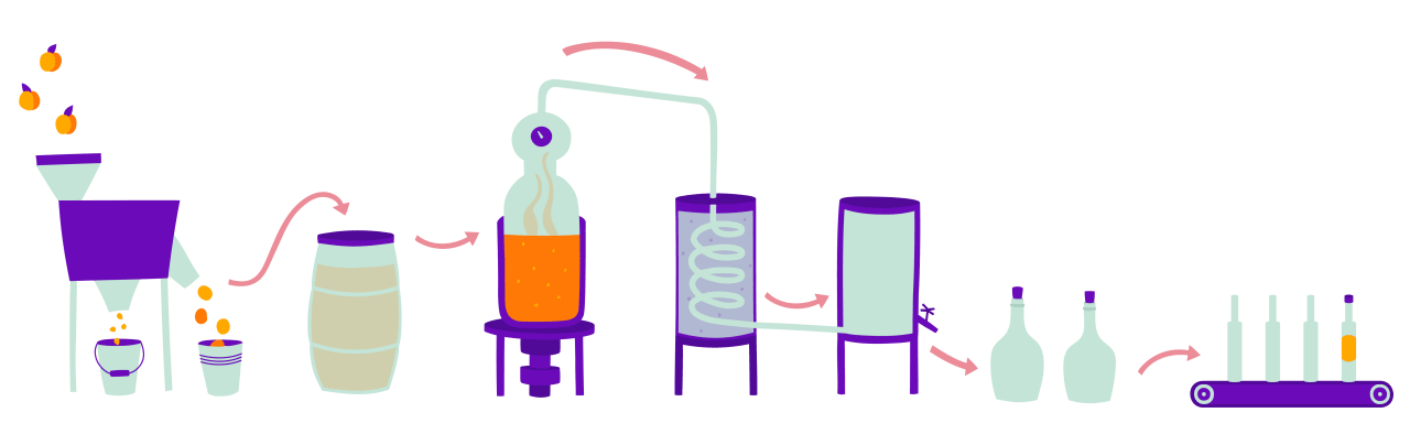 Illustration of palinka distillation process