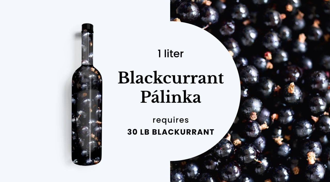 1 liter blackcurrant pálinka requires 30lb fruit