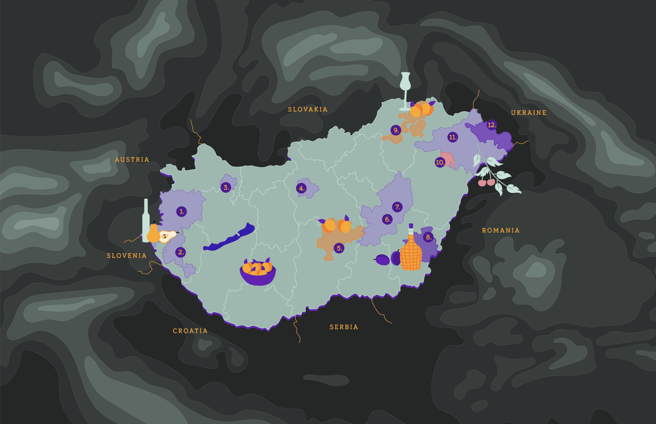 Map of palinka regions in Hungary