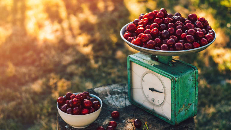 Weighing sour cherry
