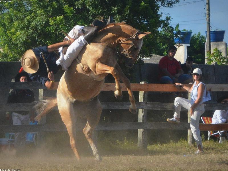 Thunder — photo 3