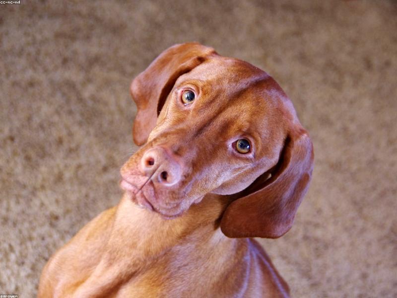 Judy — photo 3