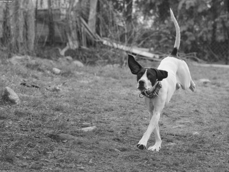 Judy — photo 2