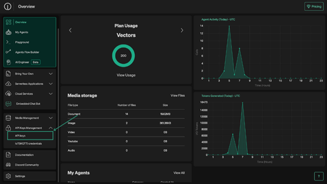 API Key Management