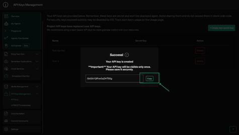 Copy API Key