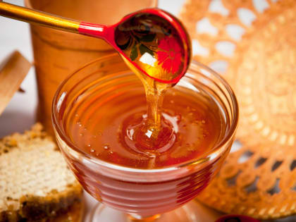 В Башкирии пройдет форум пчеловодов