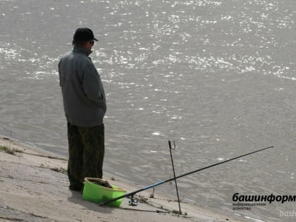 В Уфимском районе рыбак запутался в сетях и утонул