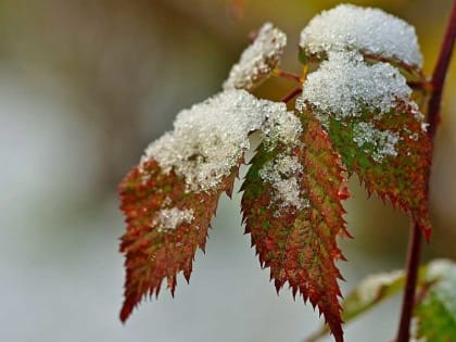 В Башкирии испортится погода: пойдут дожди и начнутся заморозки