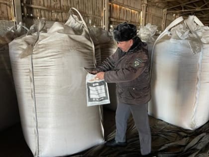 Башкирия экспортировала в Польшу 22 тонны продовольственной горчицы