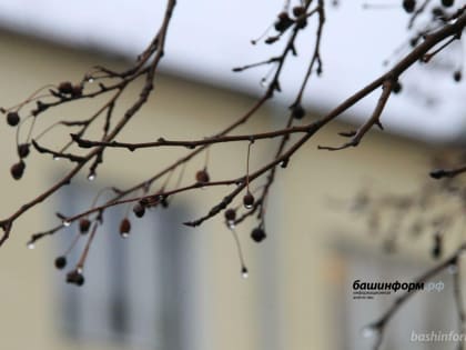 В ближайшие дни в Башкирии значительно потеплеет