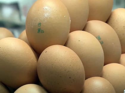 Решение принято: в России ограничат транзит яиц и курицы