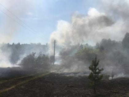 В Башкирии загорелась сухая трава